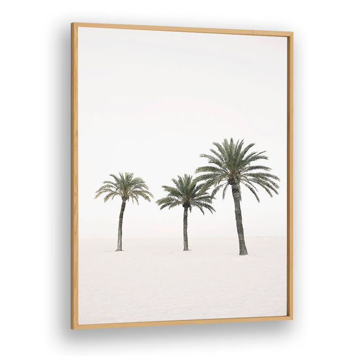 PALMS , BEACH PAINTINGS