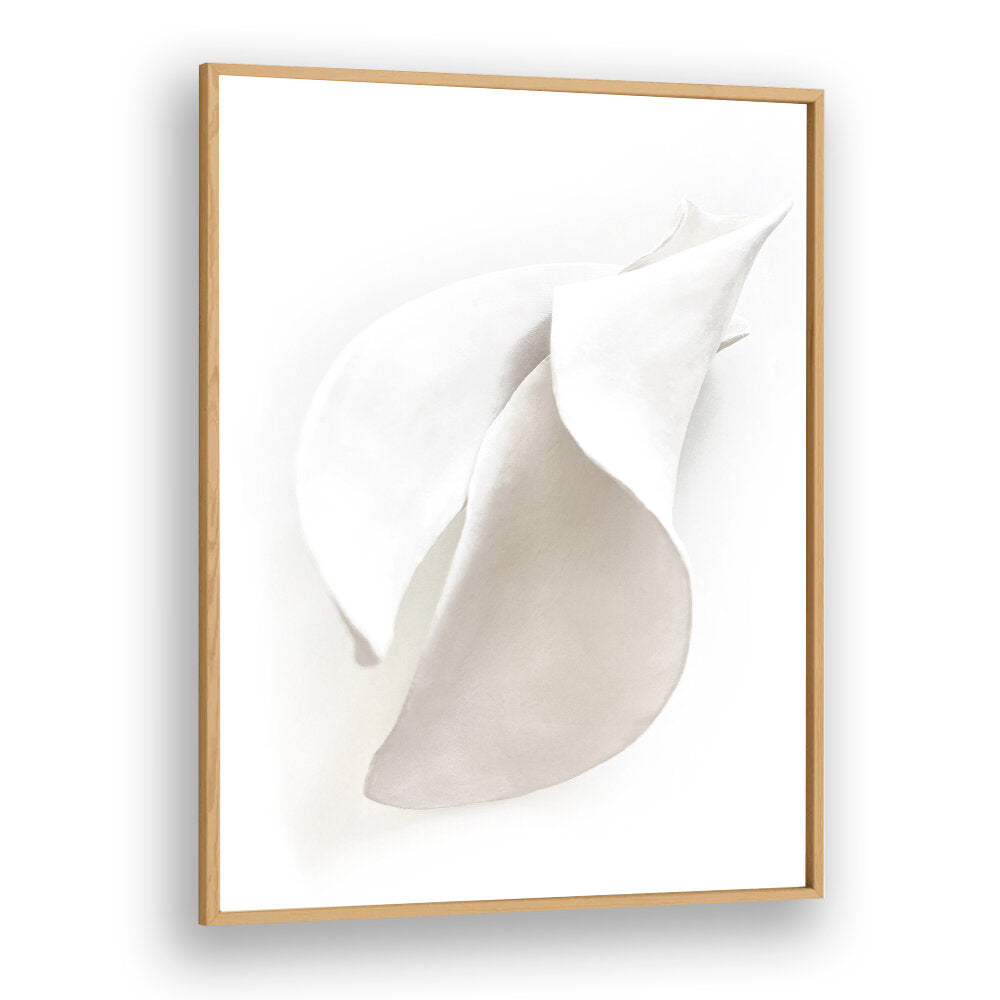 PETAL'S SILENCE , ORGANIC FORMS