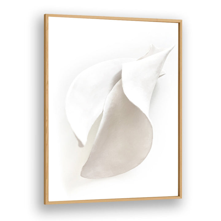 PETAL'S SILENCE , ORGANIC FORMS