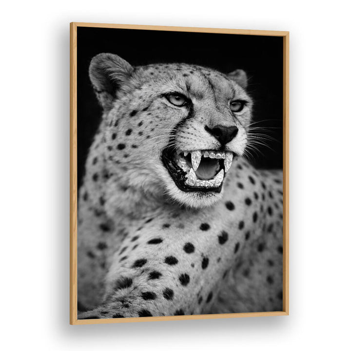 ROARING PREDATOR
