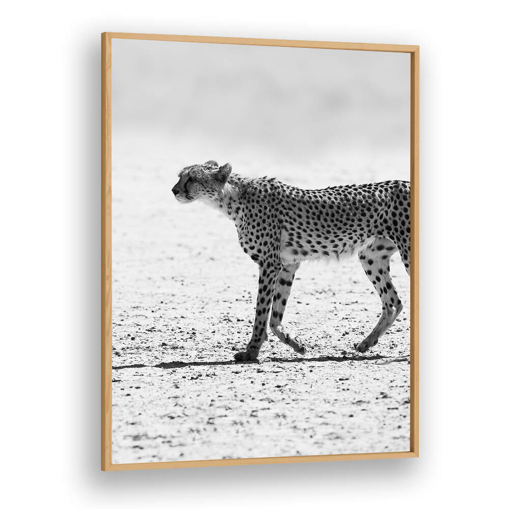 SILENT PURSUIT , ANIMAL PAINTINGS: Oakwood Plains framed black-and-white cheetah print walking across sunlit desert