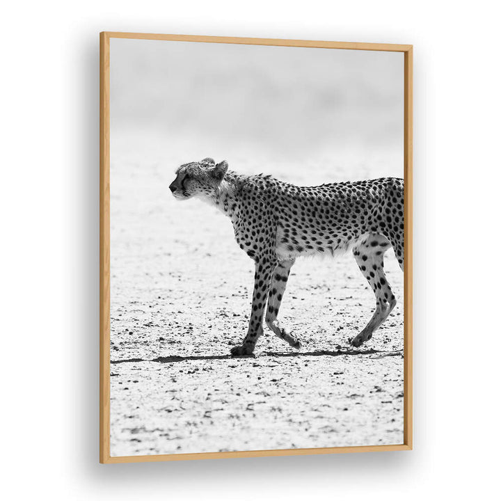 SILENT PURSUIT , ANIMAL PAINTINGS: Oakwood Plains framed black-and-white cheetah print walking across sunlit desert