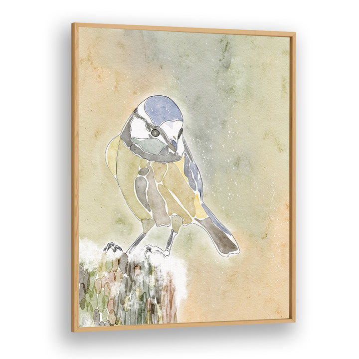 SNOWY BLUE TIT
