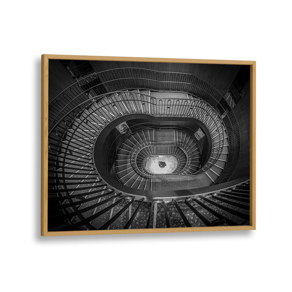 SPIRAL ELEGANCE II