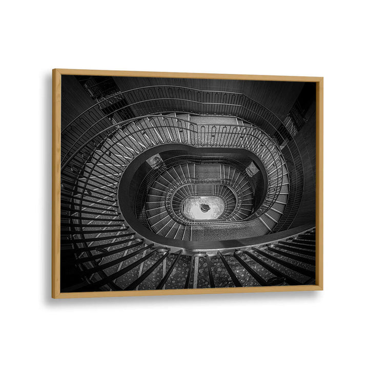 SPIRAL ELEGANCE II