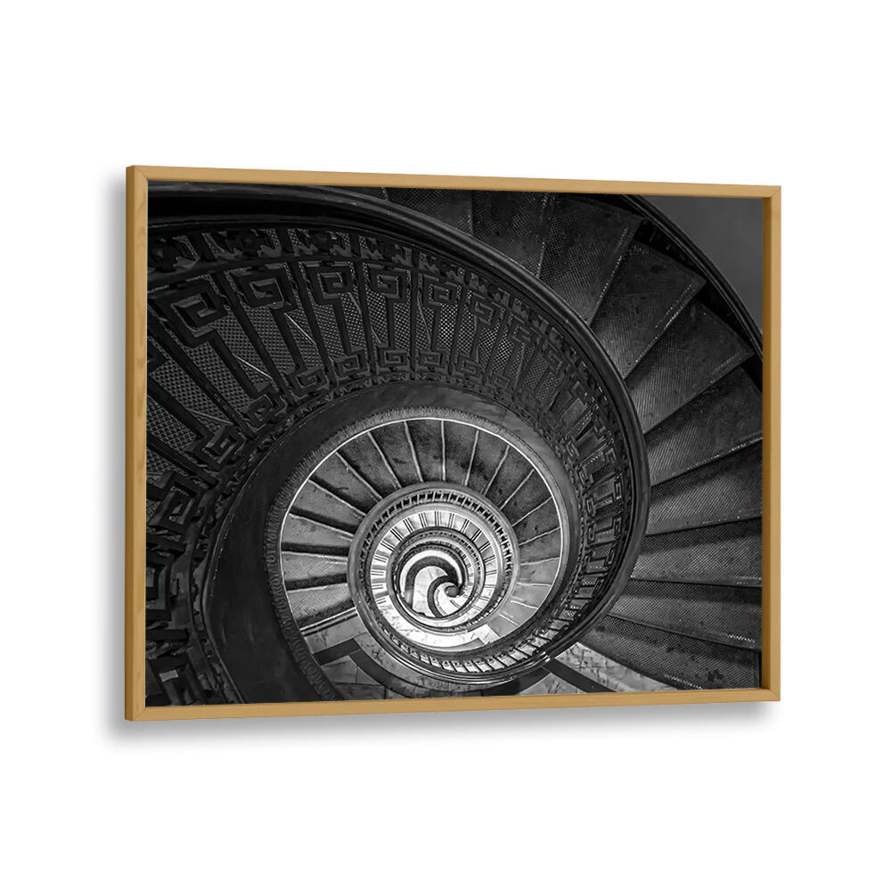 SPIRAL LADDER