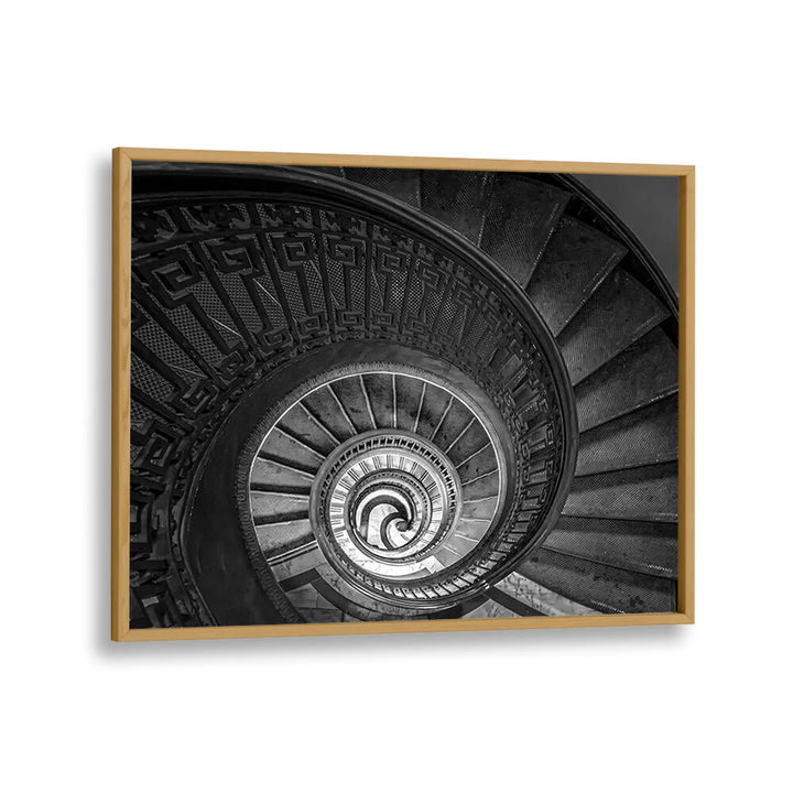 SPIRAL LADDER