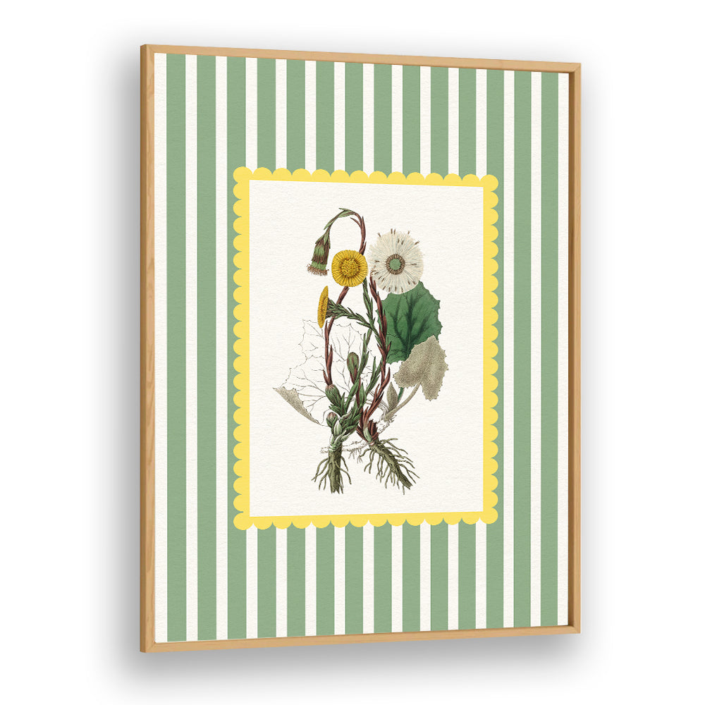 SPRING DANDELION STUDY