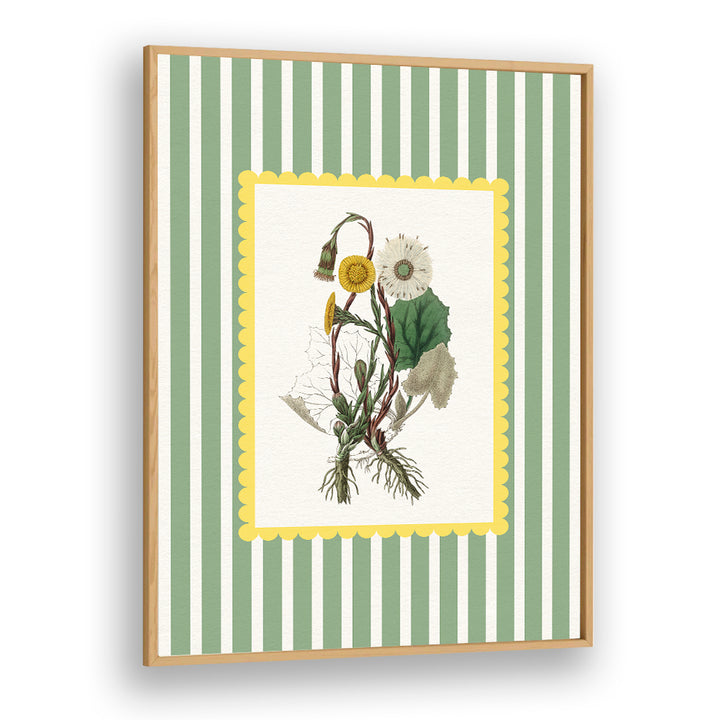 SPRING DANDELION STUDY