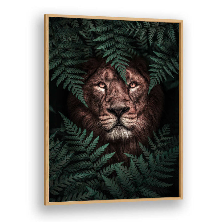 THE LION KING , ANIMAL PAINTINGS