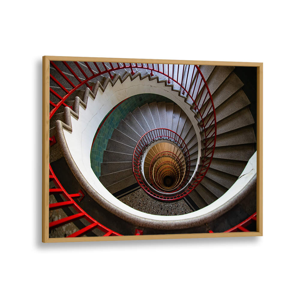 THE EYE