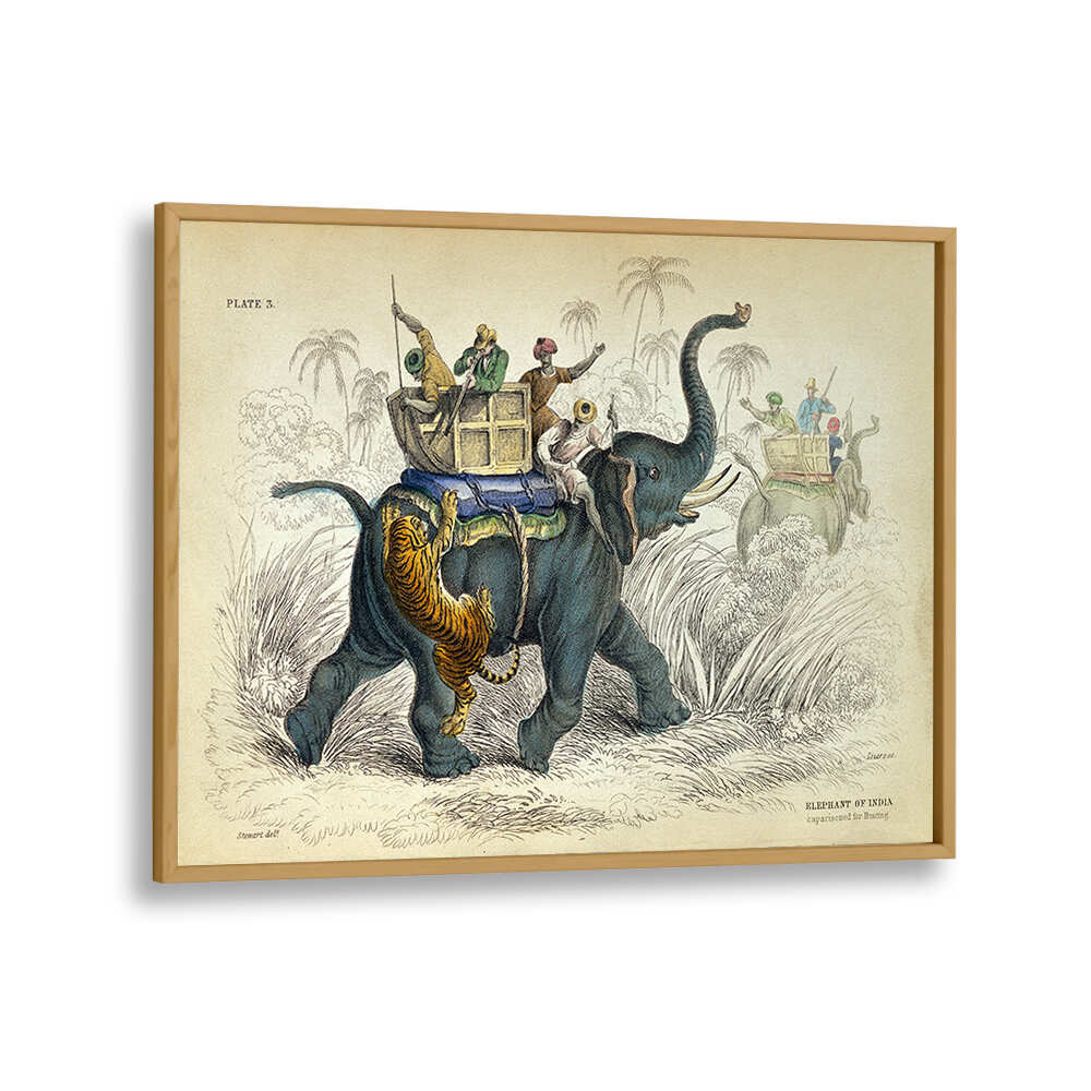 HISTORY OF THE PACHYDERMES