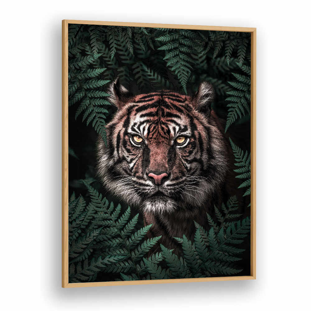 TIGER , ANIMAL PAINTINGS