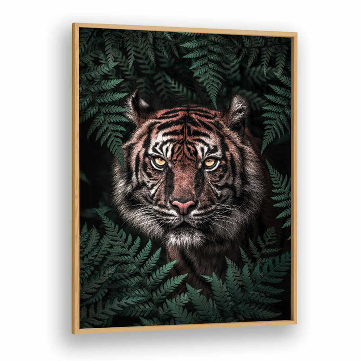 TIGER , ANIMAL PAINTINGS