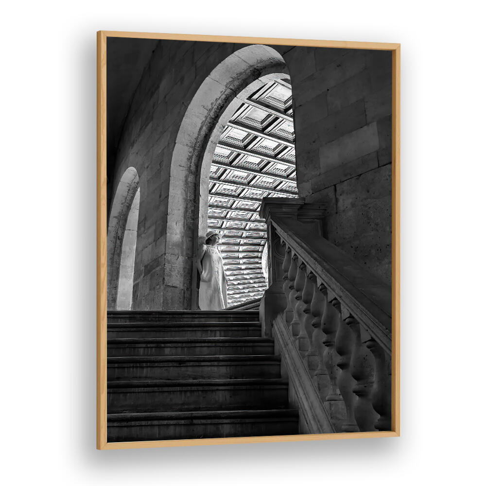 TIMELESS ARCHES