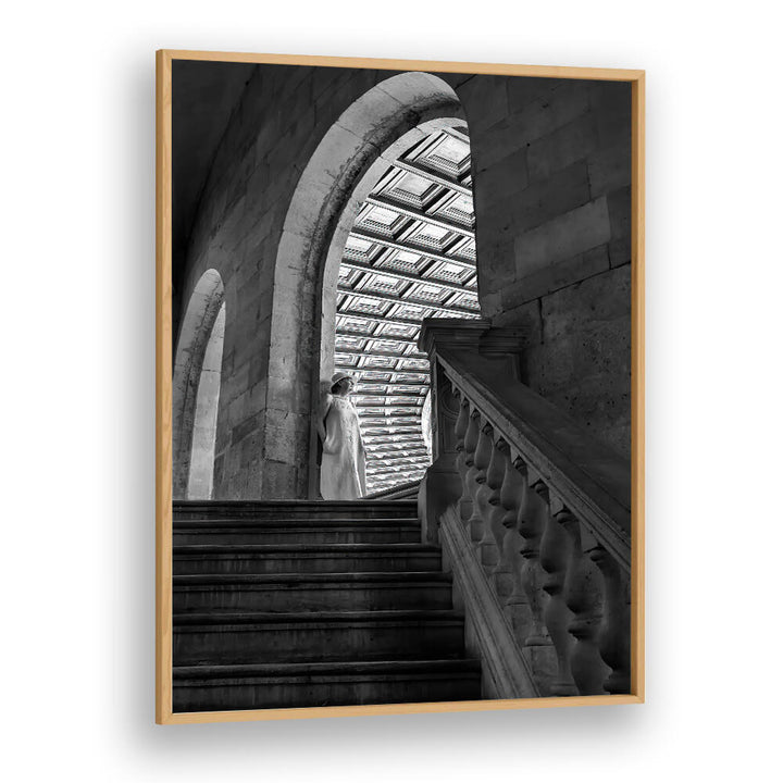TIMELESS ARCHES