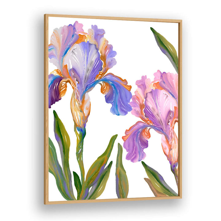 WATERCOLOR IRIS , FLORAL FLOWER PAINTINGS