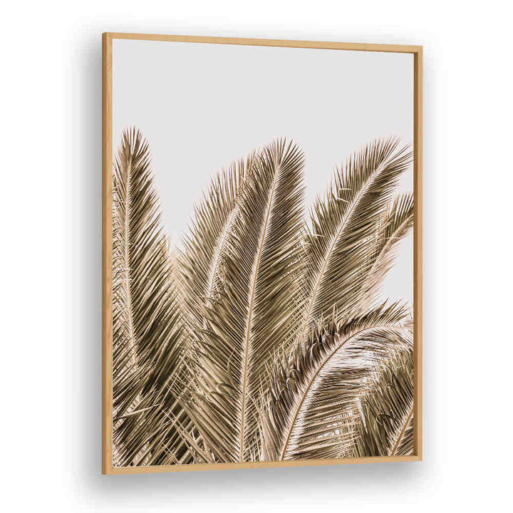 Oakwood Plain WINDSWEPT PALMS , BEACH PAINTINGS framed print of windswept palm fronds in soft sepia tones