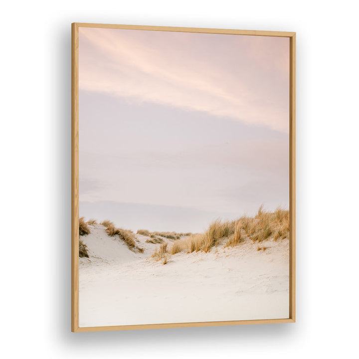 AMELAND DUNES III , PHOTOGRAPHY PRINTS