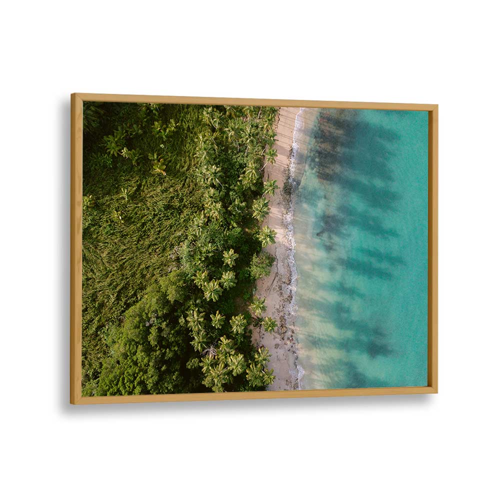 GREEN BEACH FROM ABOVE II BY RAISA ZWART , LANDSCAPE PHOTO PRINTS