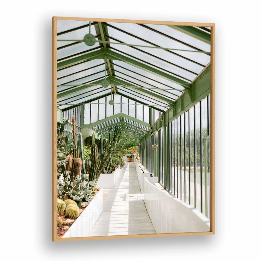 BOTANICAL GARDEN OF PARIS BY RAISA ZWART , LANDSCAPE PHOTO PRINTS