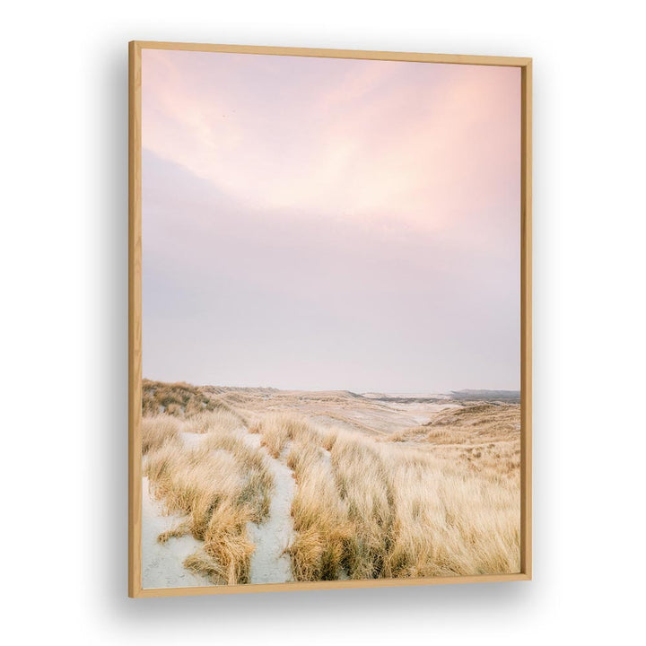 AMELAND DUNES I , PHOTOGRAPHY PRINTS