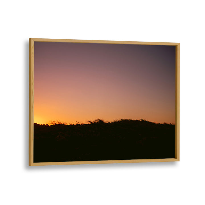 DUNE GRASS SUNSET HORIZONTAL BY RAISA ZWART , LANDSCAPE PHOTO PRINTS