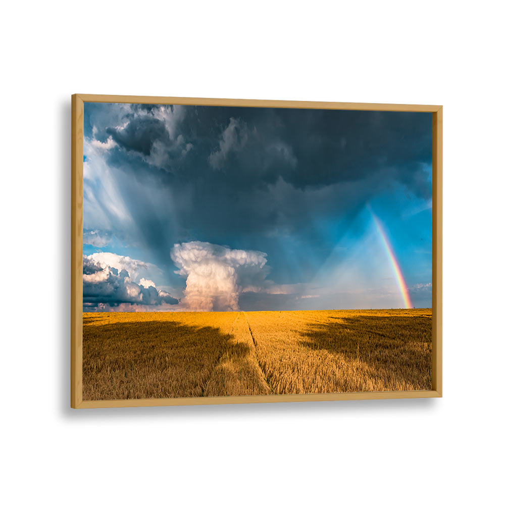 GOLD AND THUNDER BY STEFAN HEFELE , LANDSCAPE PHOTO PRINTS