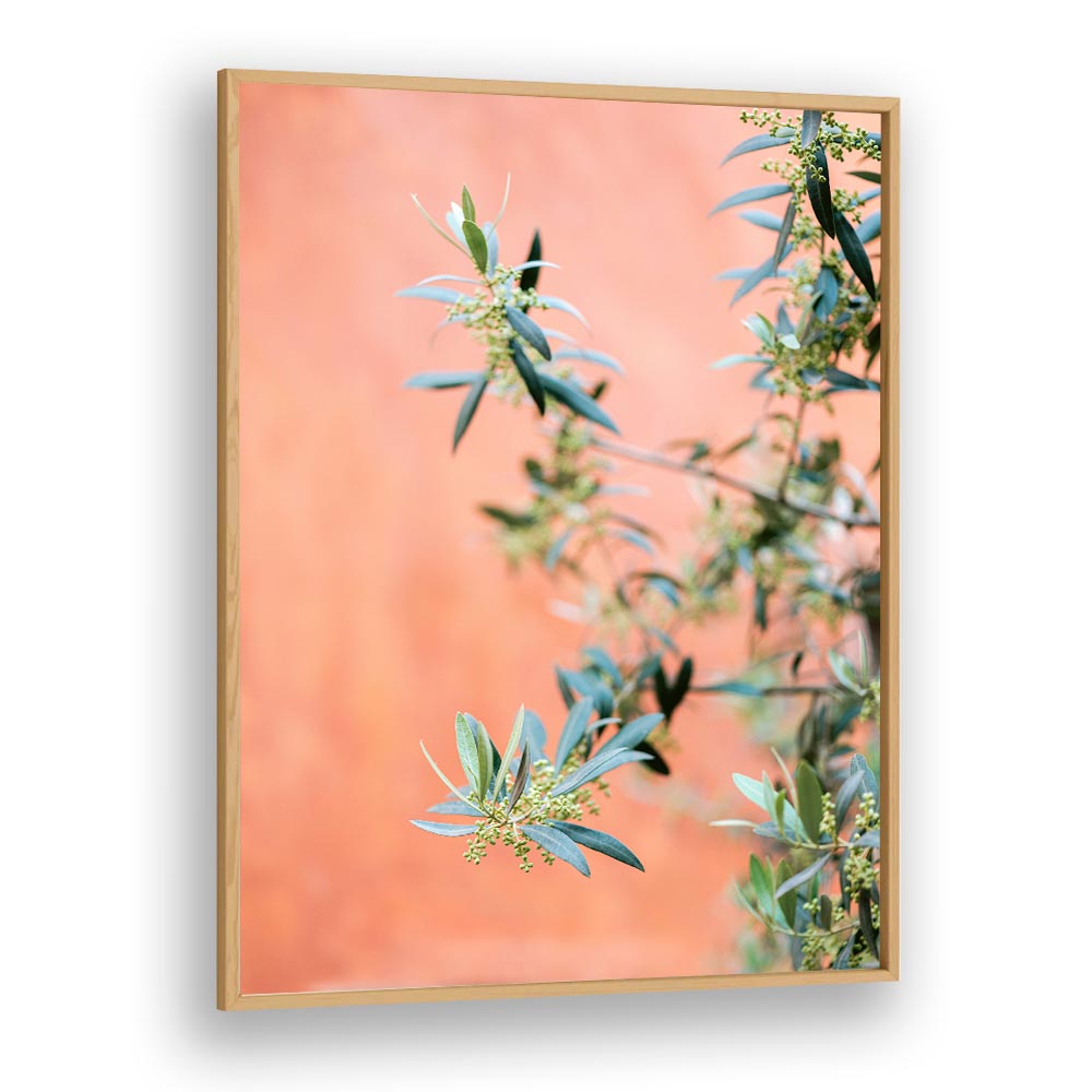 GREEN AND CORAL , PHOTOGRAPHY PRINTS