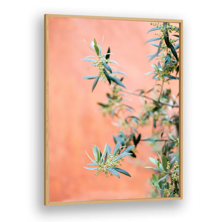 GREEN AND CORAL , PHOTOGRAPHY PRINTS