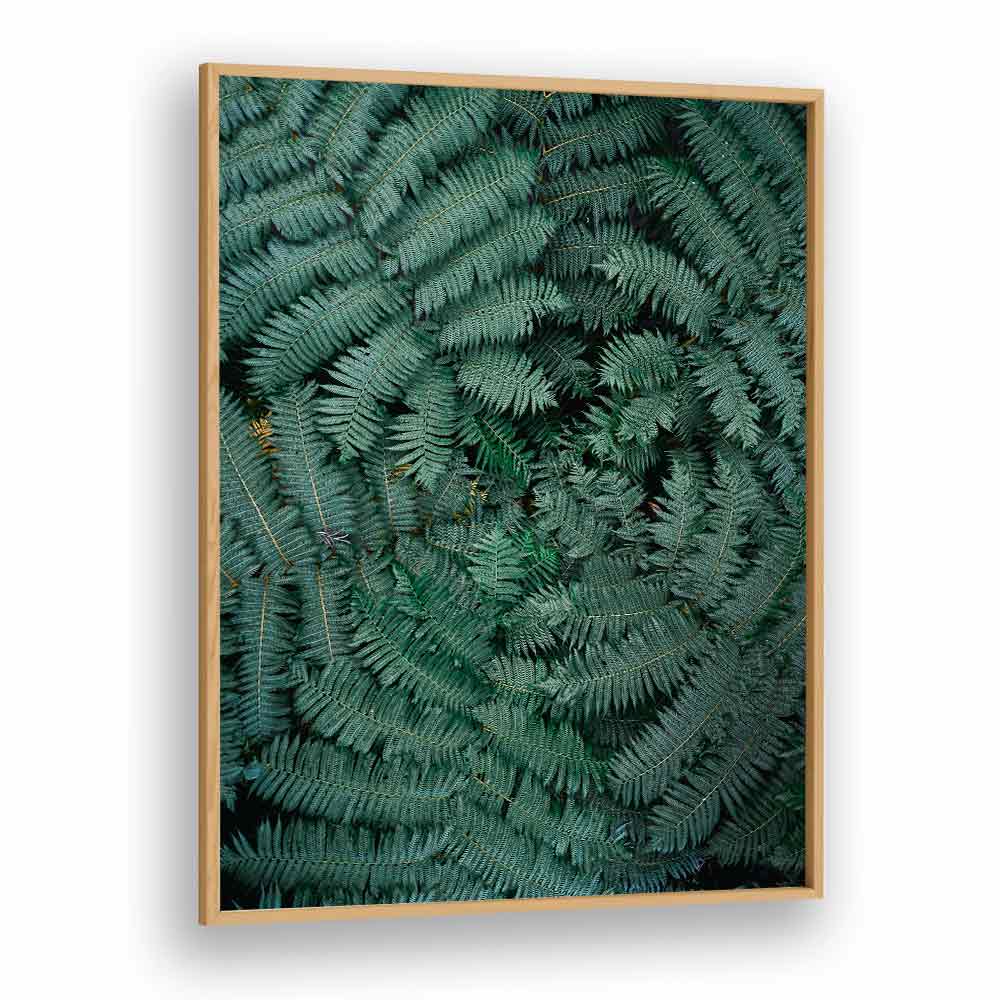 GREEN LEAVES , PHOTOGRAPHY PRINTS