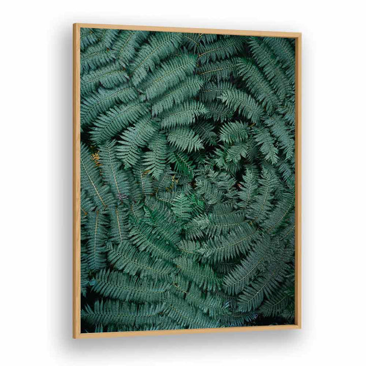 GREEN LEAVES , PHOTOGRAPHY PRINTS