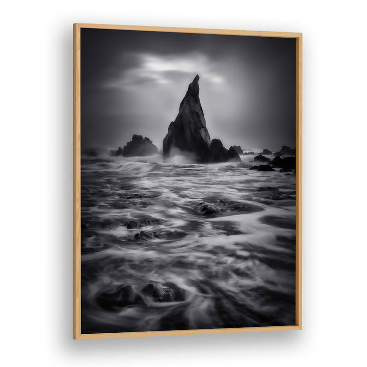 WEST COAST OF NEW ZEALAND , LANDSCAPE PHOTO PRINTS