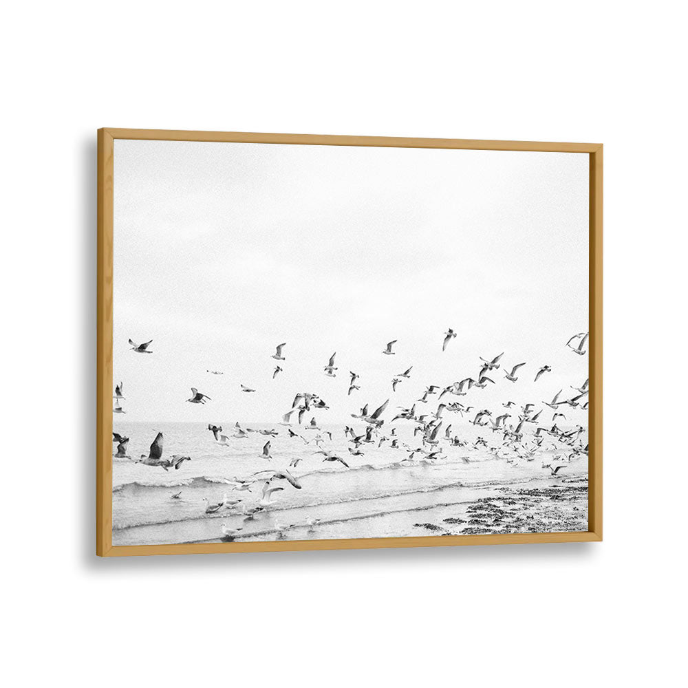 SEAGULLS - COASTAL BLACK AND WHITE BY RAISA ZWART , LANDSCAPE PHOTO PRINTS