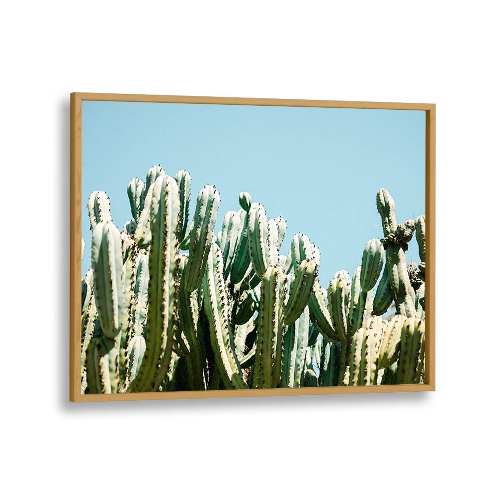 SOUTH OF SPAIN BY RAISA ZWART , LANDSCAPE PHOTO PRINTS