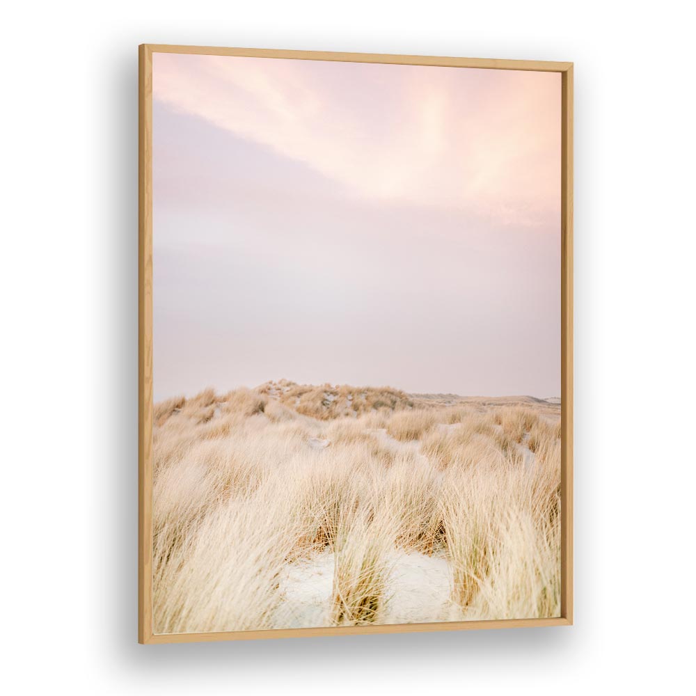 AMELAND DUNES II BY RAISA ZWART , LANDSCAPE PHOTO PRINTS