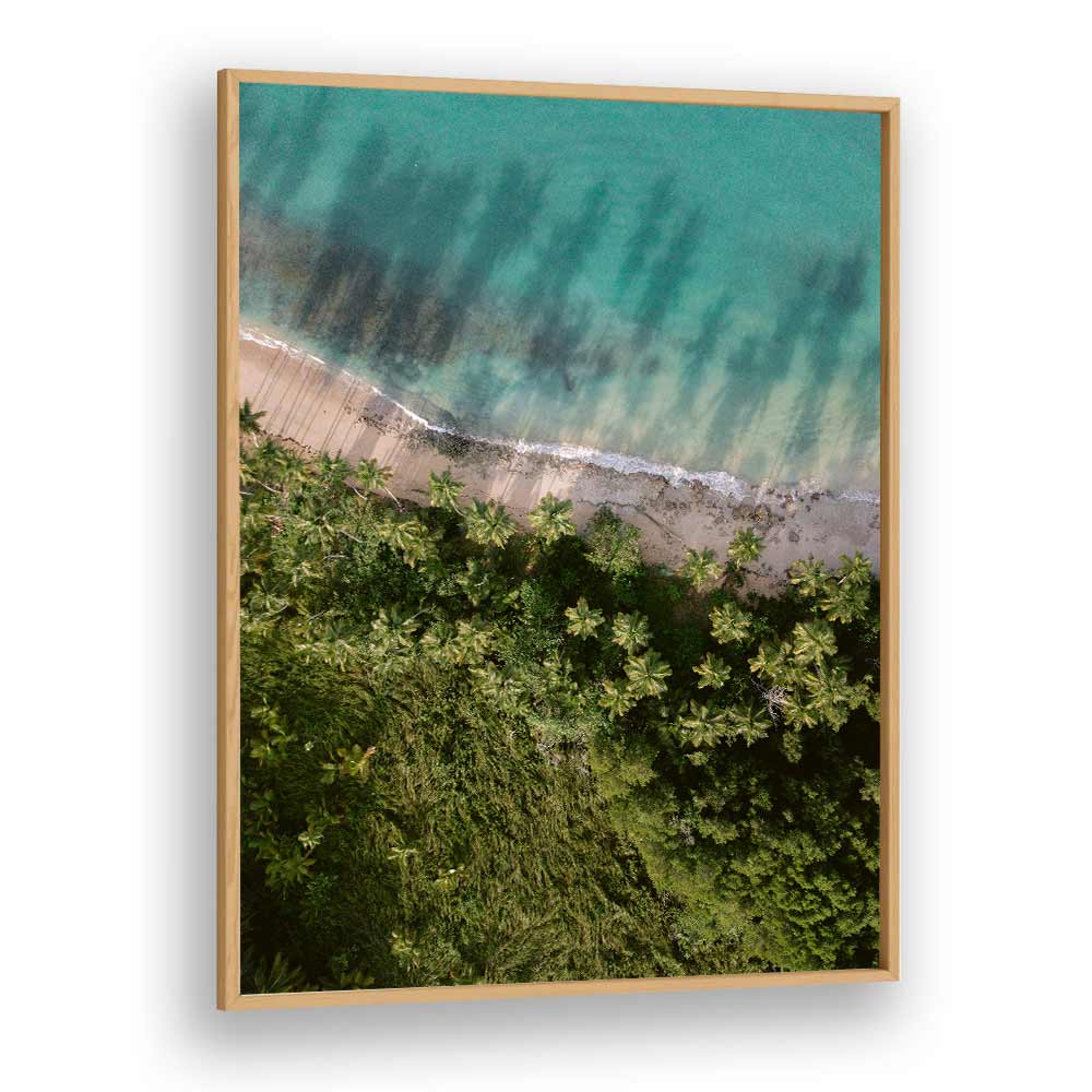 PALM BEACH FROM ABOVE  BY RAISA ZWART , LANDSCAPE PHOTO PRINTS