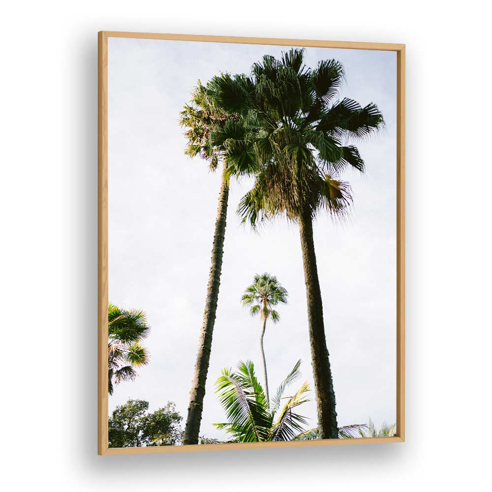 FIND ME UNDER THE PALM TREE , PHOTOGRAPHY PRINTS