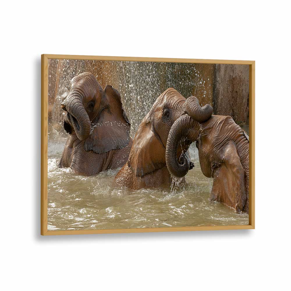 BATH TIME PLAY BY MARC PELISSIER , LANDSCAPE PHOTO PRINTS