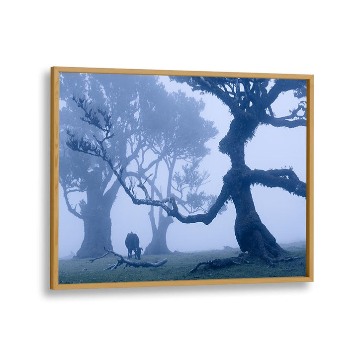 BLUE ENT , LANDSCAPE PHOTO PRINTS , LANDSCAPE PHOTOGRAPHY