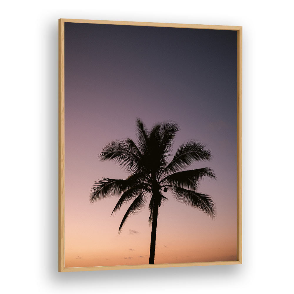 COSTA RICA PALM TREE BY RAISA ZWART , LANDSCAPE PHOTO PRINTS