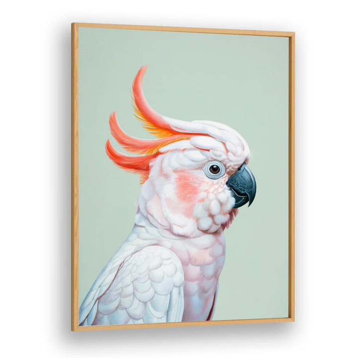 WHITE COCKATOO NO 1
