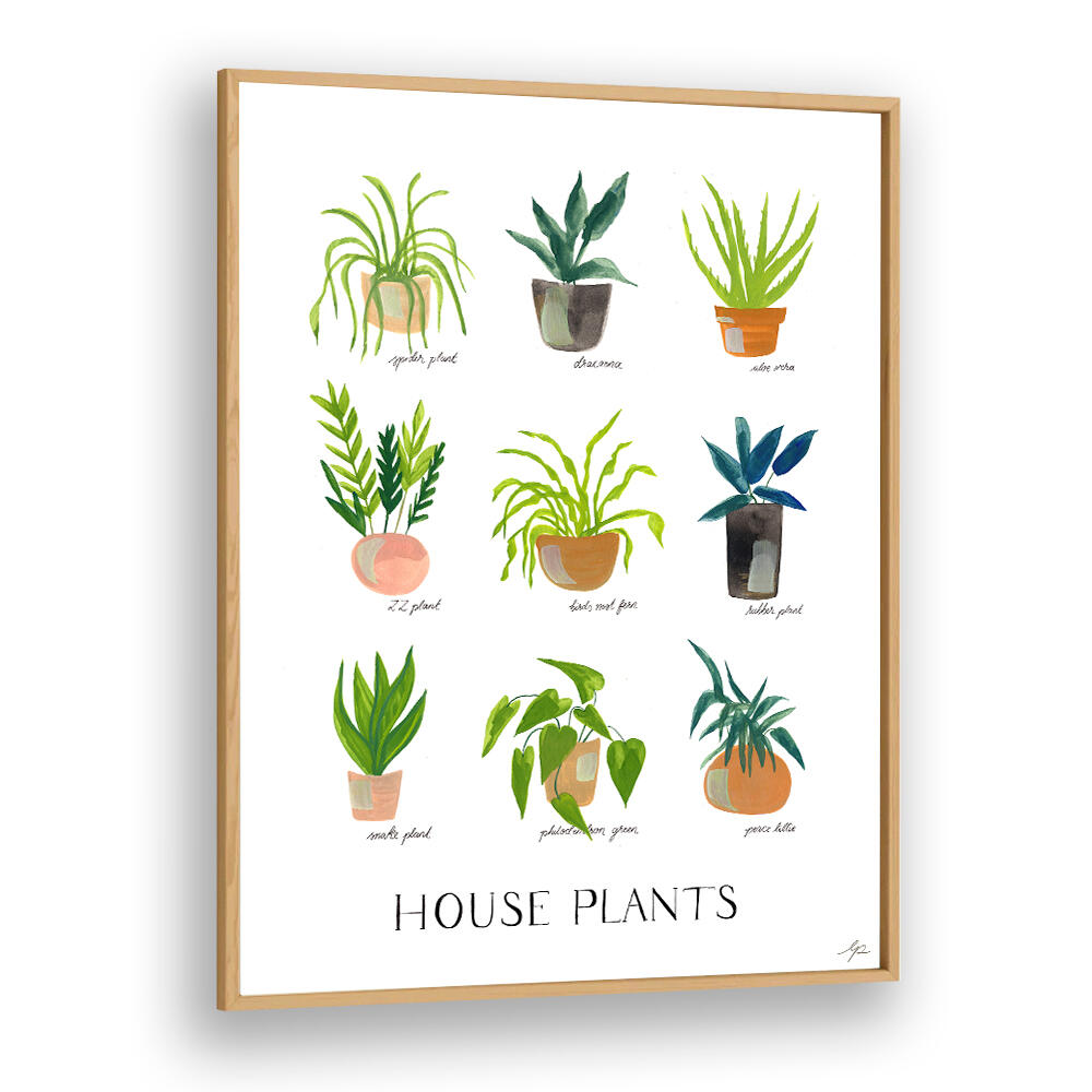 HOUSEPLANTS , FLORAL FLOWER PAINTINGS