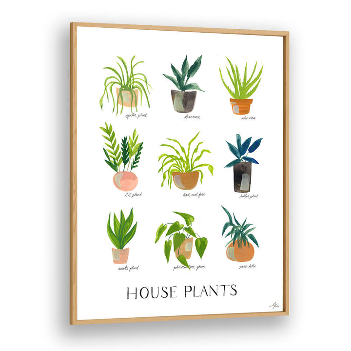 HOUSEPLANTS , FLORAL FLOWER PAINTINGS