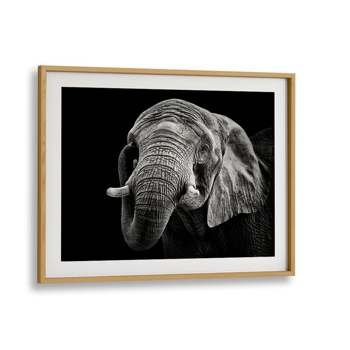 Captivating AFRICAN ELEPHANT, PHOTOGRAPHY PRINTS in a sleek frame, showcasing the beauty of wildlife art.