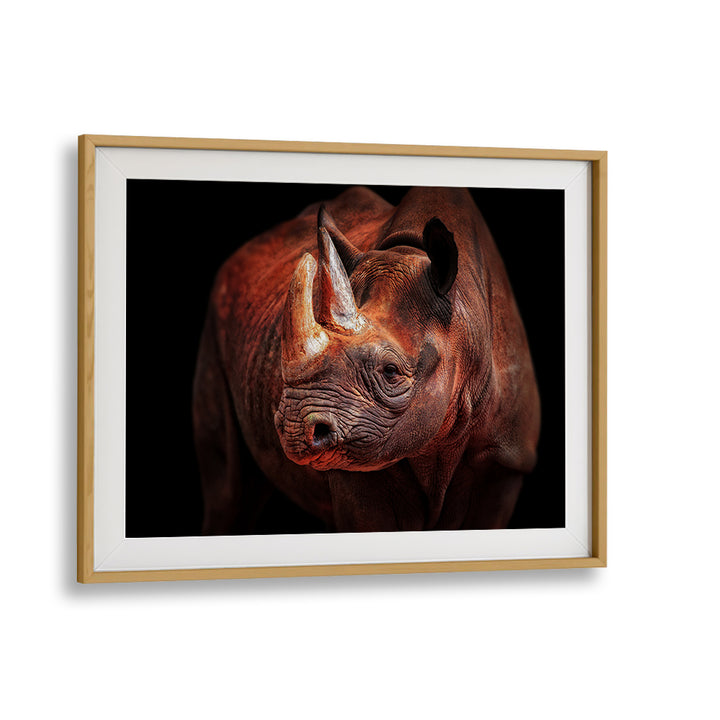 Stunning "Rhino Posing" photography prints by Antje Wenner Braun, showcasing majestic wildlife on premium canvas.