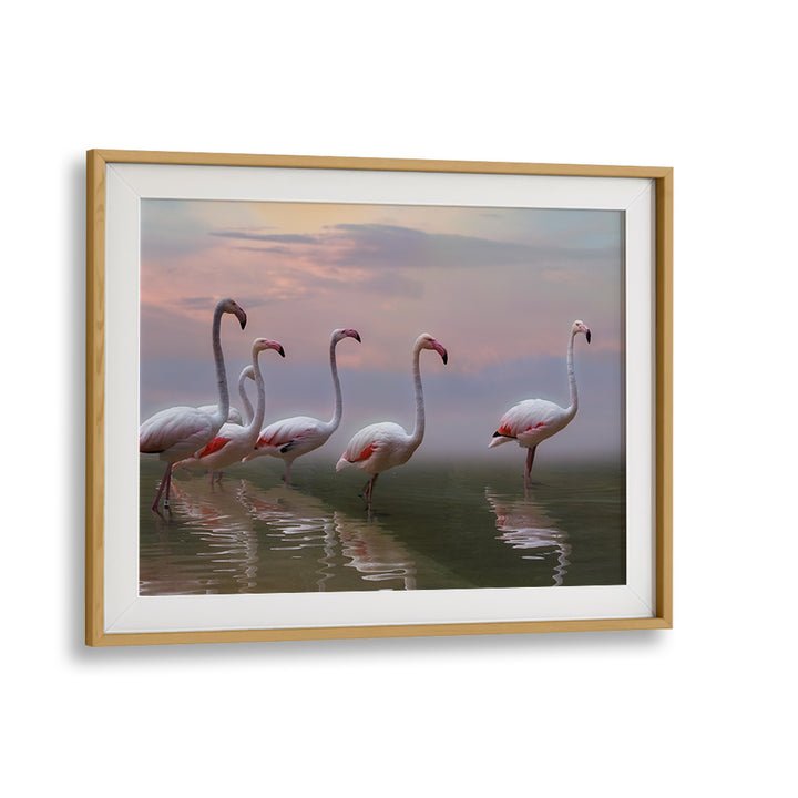 Serene Flamingo Sunset, showcasing elegant birds reflecting on water, perfect for your photography prints collection.