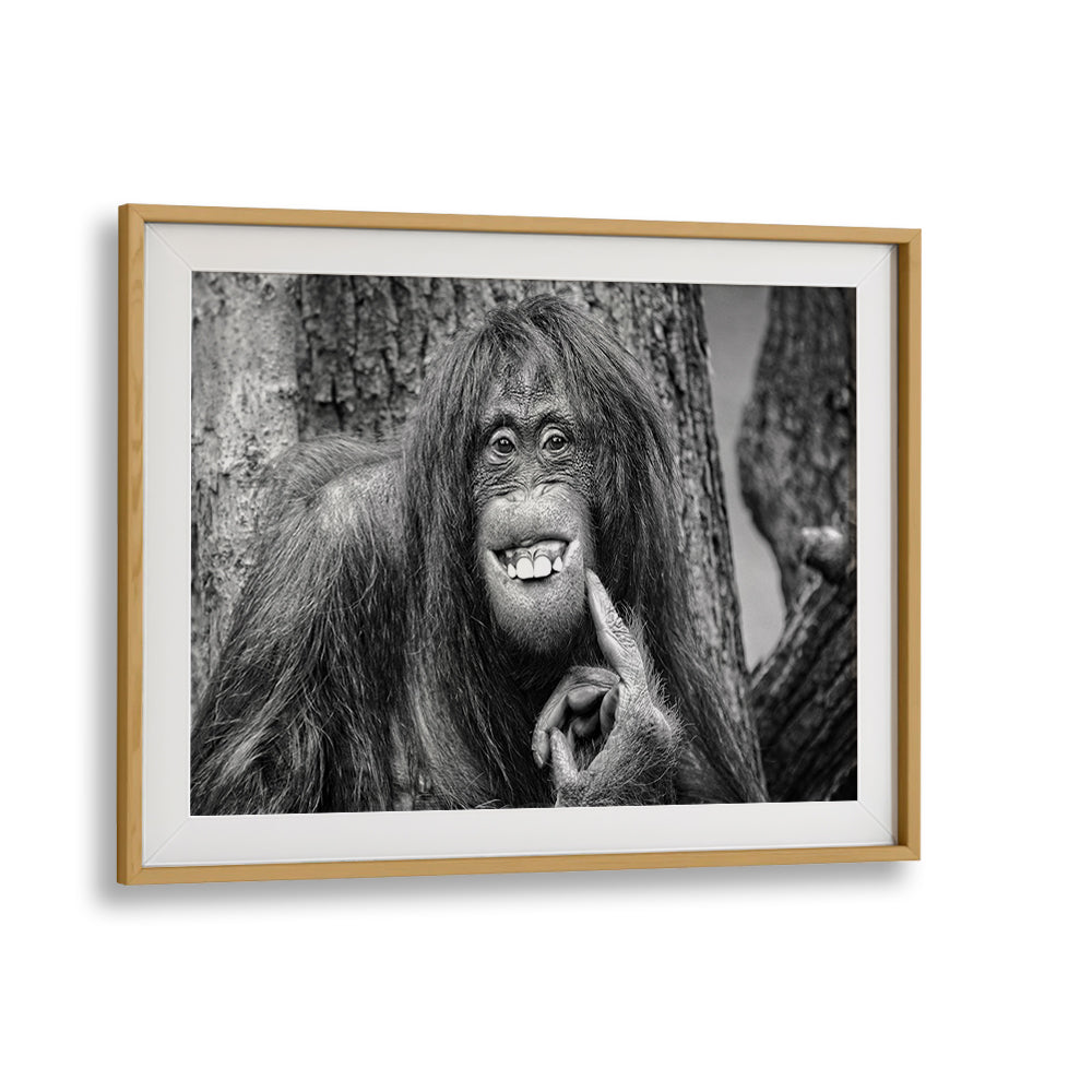 Whimsical wildlife captured in "SHE'S GOT THE LOOK, PHOTOGRAPHY PRINTS" showcasing nature's beauty in fine art.