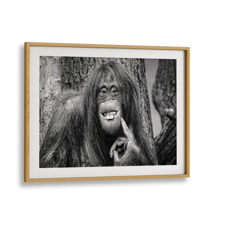 Whimsical wildlife captured in "SHE'S GOT THE LOOK, PHOTOGRAPHY PRINTS" showcasing nature's beauty in fine art.
