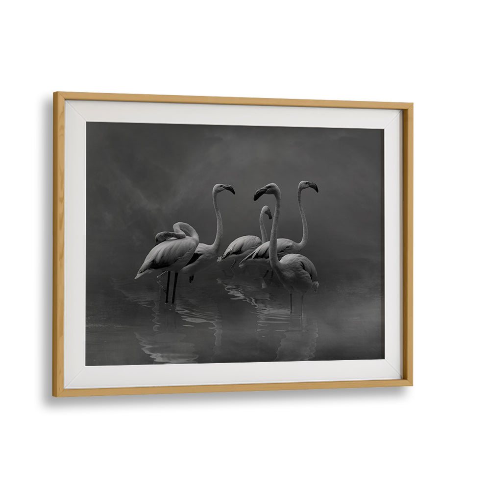 Serene black and white FLAMINGO PARADISE, PHOTOGRAPHY PRINTS featuring elegant flamingos in tranquil waters.